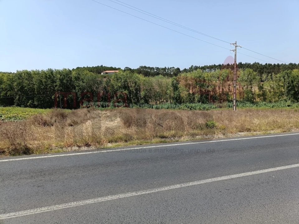 Terreno para Venda em Lourinhã e Atalaia Foto 8