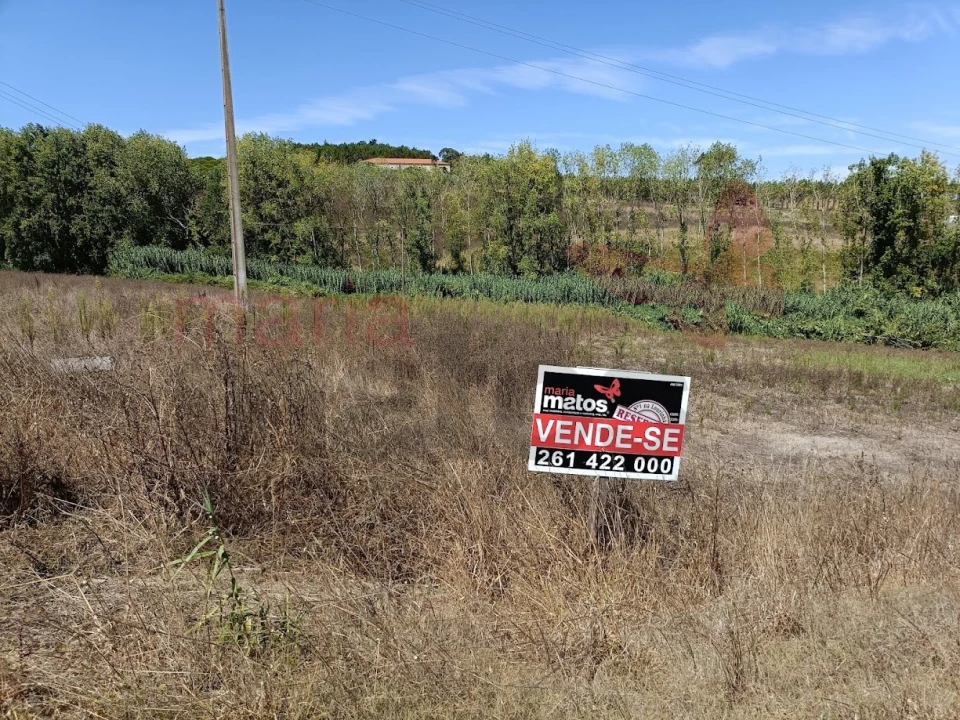 Terreno para Venda em Lourinhã e Atalaia Foto 3