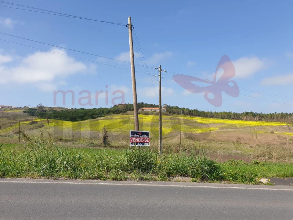 Terreno para Venda em Lourinhã e Atalaia Foto 1
