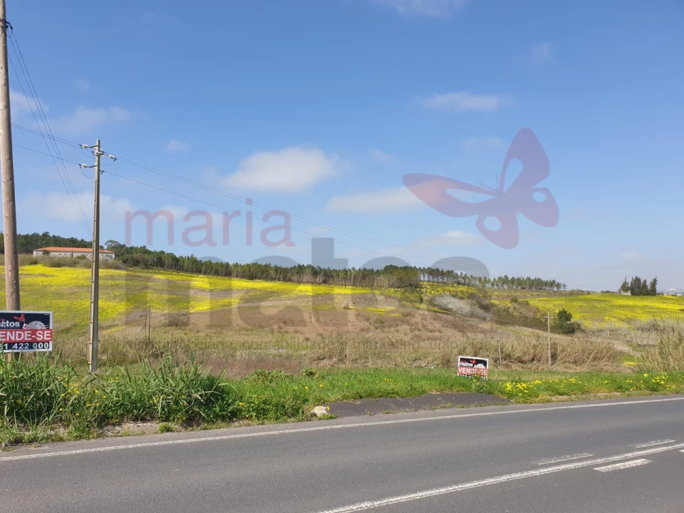 Terreno para Venda em Lourinhã e Atalaia Foto 2