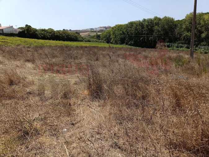 Terreno para Venda em Lourinhã e Atalaia Foto 6