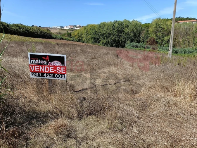 Terreno para Venda em Lourinhã e Atalaia Foto 4