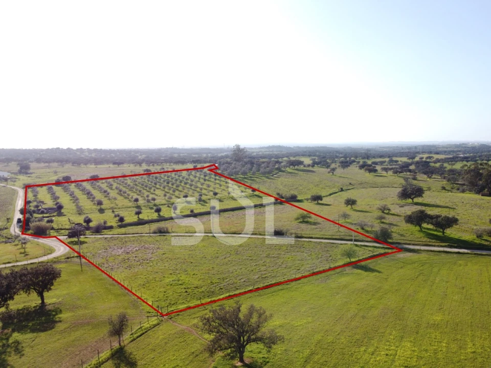 Terreno para Venda em Ourique Foto 5