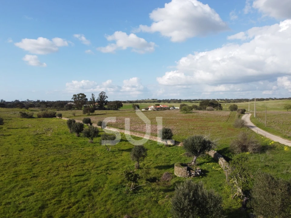 Terreno para Venda em Ourique Foto 6