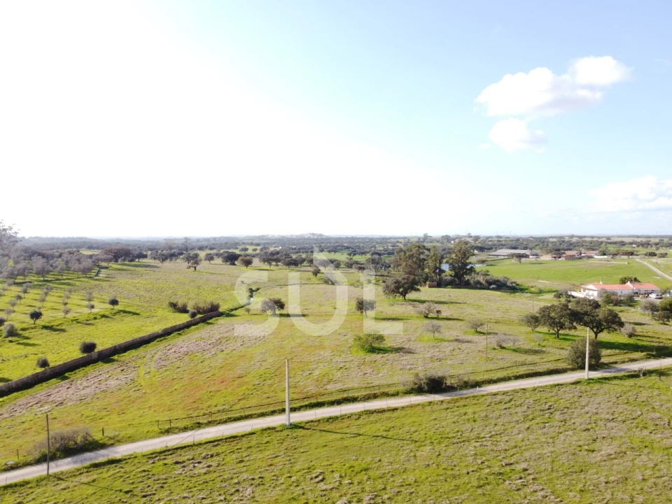 Terreno para Venda em Ourique Foto 8
