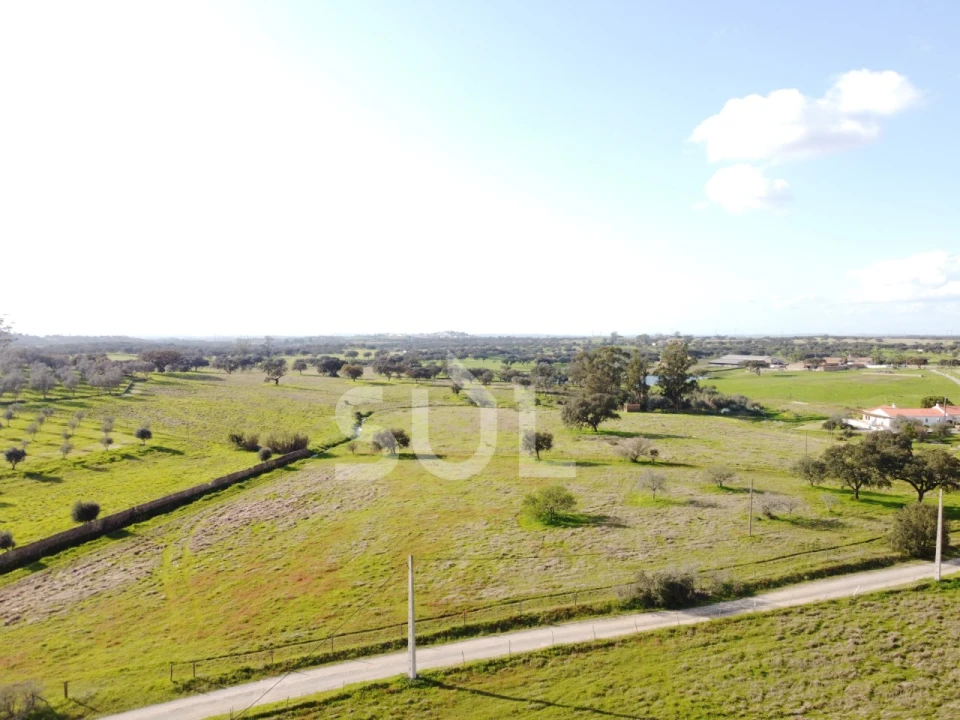 Terreno para Venda em Ourique Foto 9