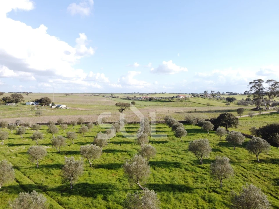 Terreno para Venda em Ourique Foto 12