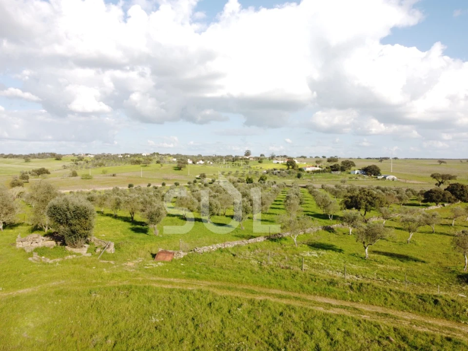 Terreno para Venda em Ourique Foto 13