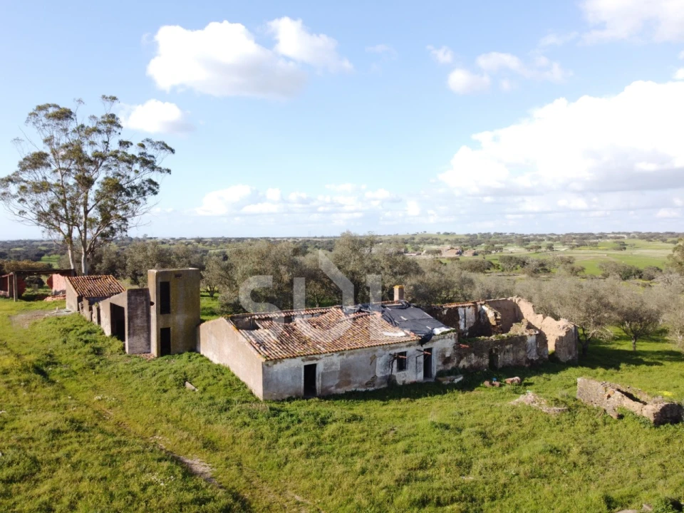 Terreno para Venda em Ourique Foto 3