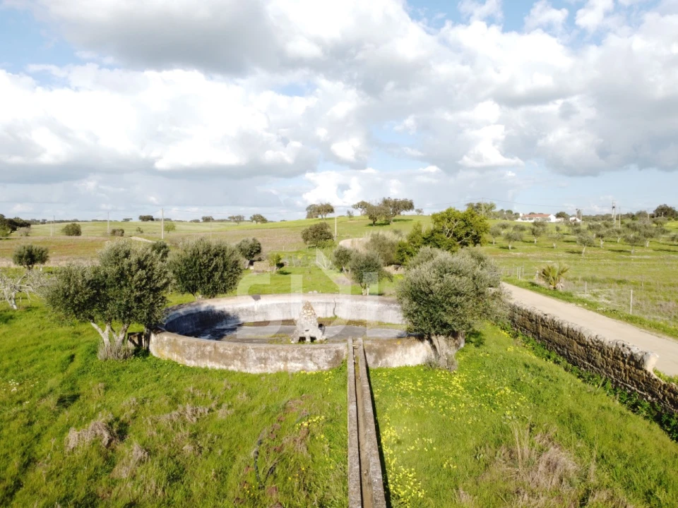 Terreno para Venda em Ourique Foto 17
