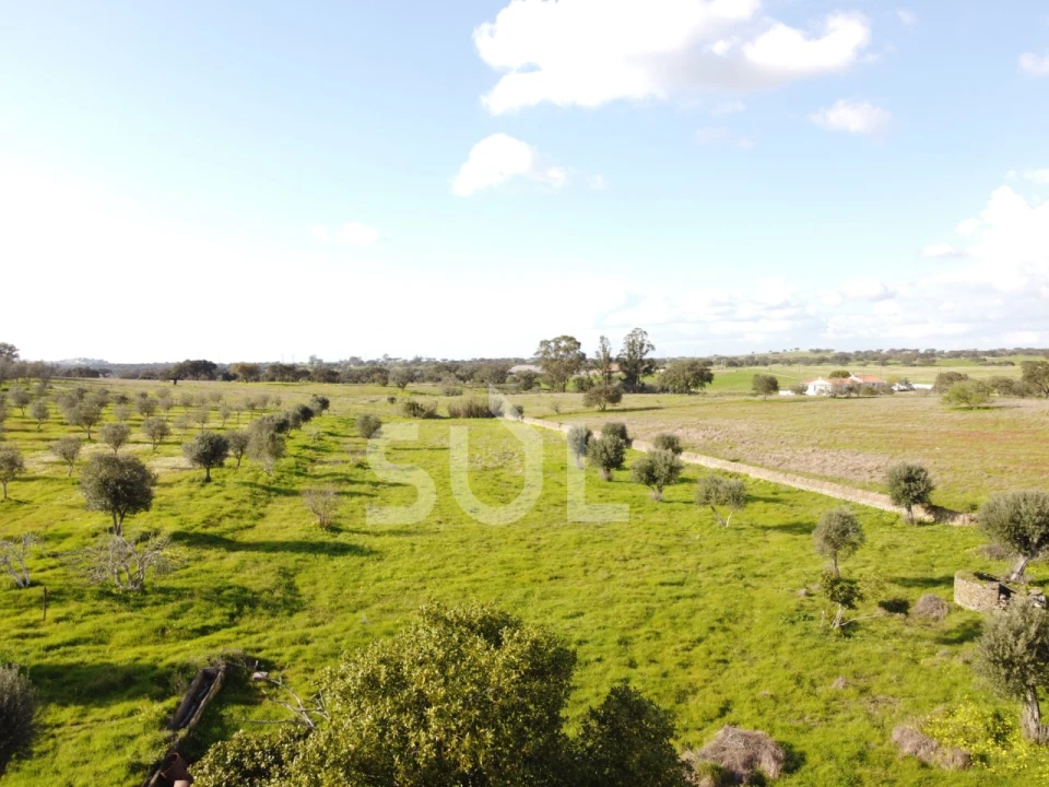 Terreno para Venda em Ourique Foto 21