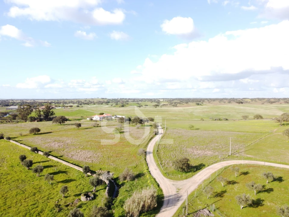 Terreno para Venda em Ourique Foto 23