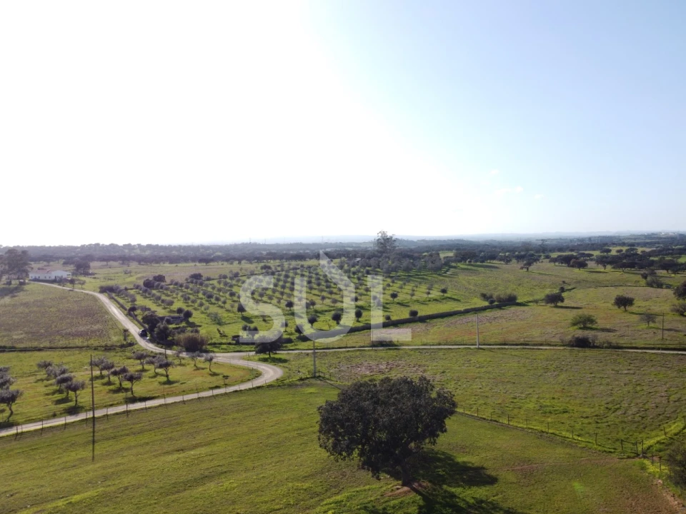 Terreno para Venda em Ourique Foto 24