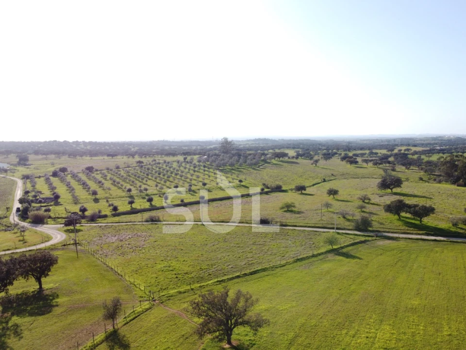 Terreno para Venda em Ourique Foto 25