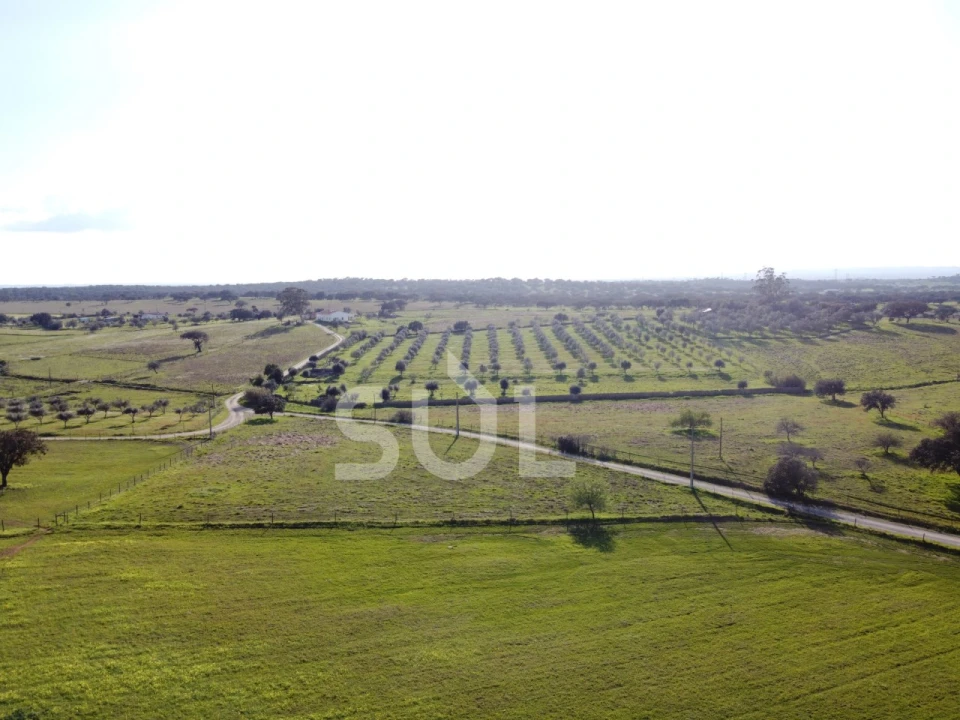 Terreno para Venda em Ourique Foto 26