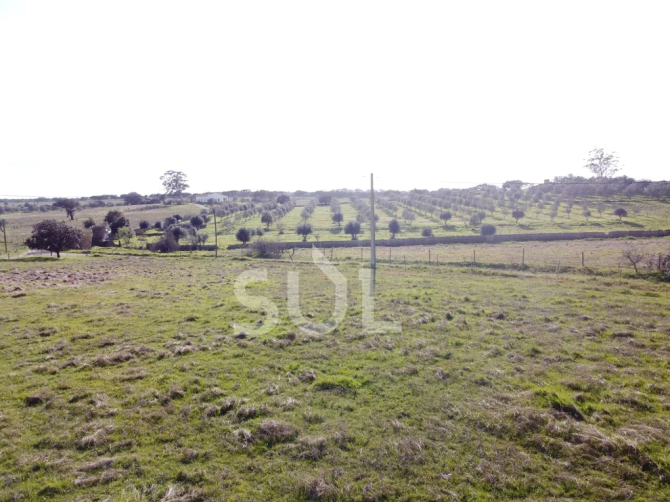 Terreno para Venda em Ourique Foto 27