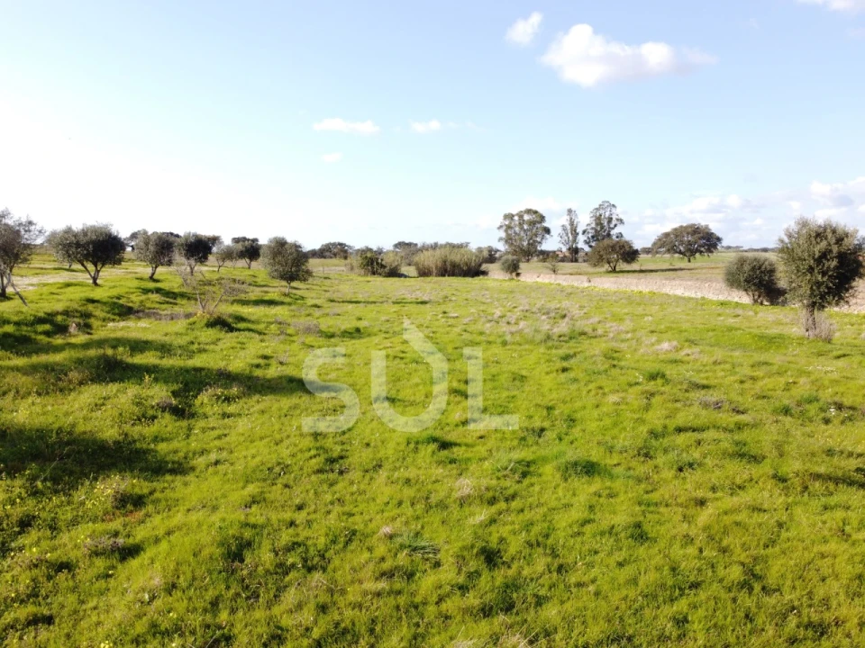 Terreno para Venda em Ourique Foto 30
