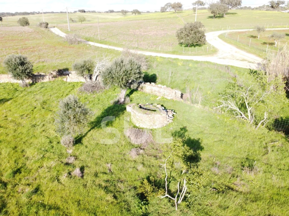 Terreno para Venda em Ourique Foto 32
