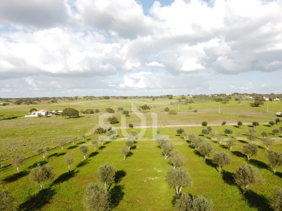 Terreno para Venda em Ourique Foto 34