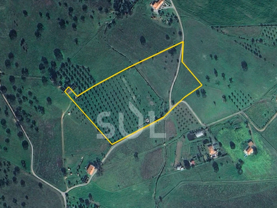 Terreno para Venda em Ourique Foto 36