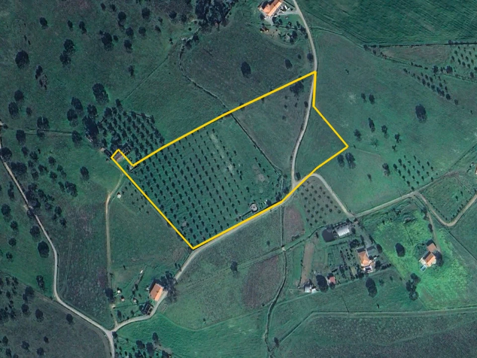 Terreno para Venda em Ourique Planta 2