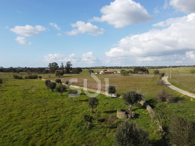 Terreno para Venda em Ourique Foto 6