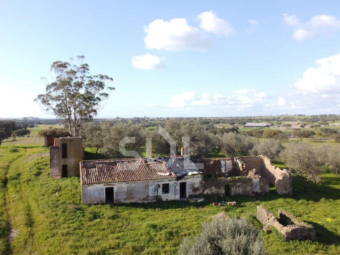 Terreno para Venda em Ourique