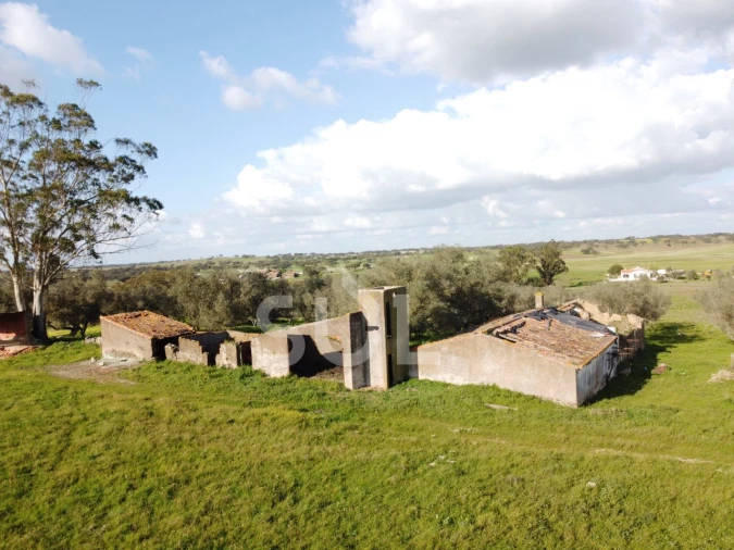 Terreno para Venda em Ourique Foto 2