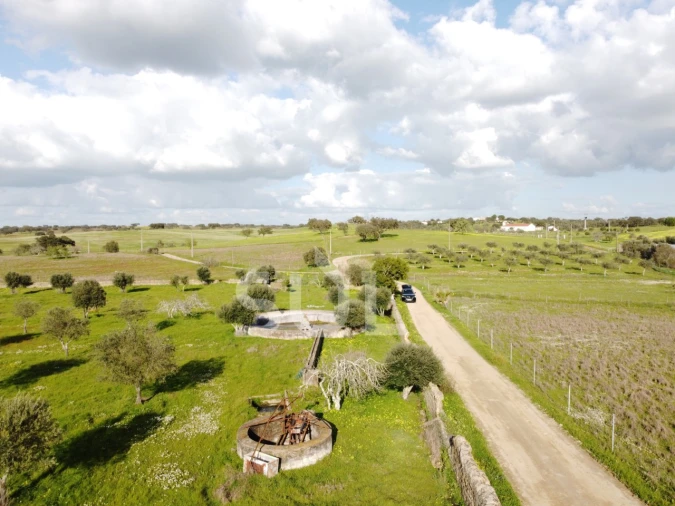 Terreno para Venda em Ourique Foto 16