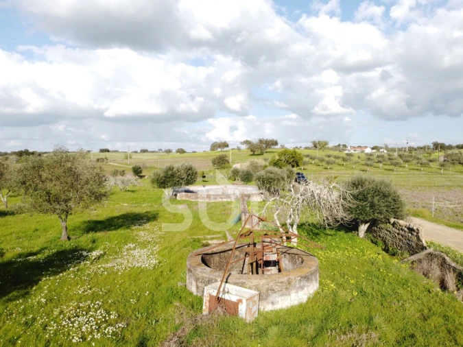 Terreno para Venda em Ourique Foto 14