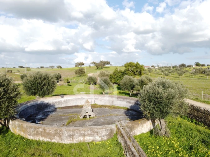 Terreno para Venda em Ourique Foto 18