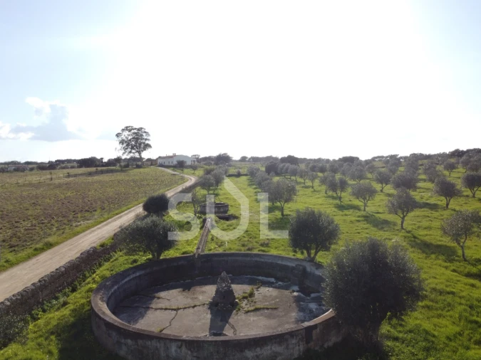 Terreno para Venda em Ourique Foto 19