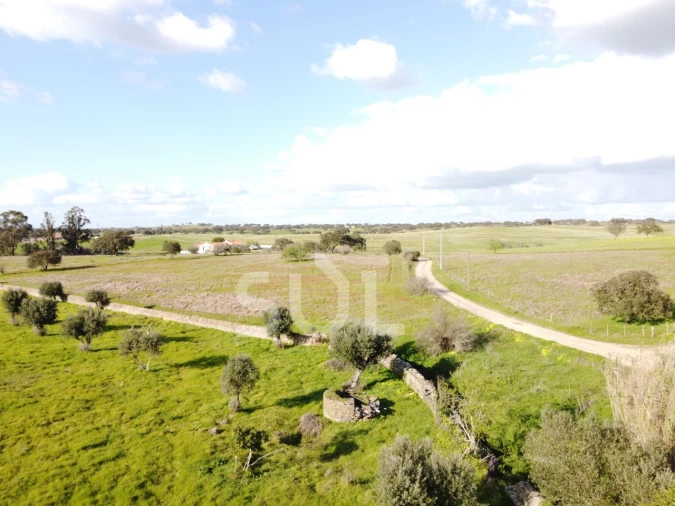 Terreno para Venda em Ourique Foto 22