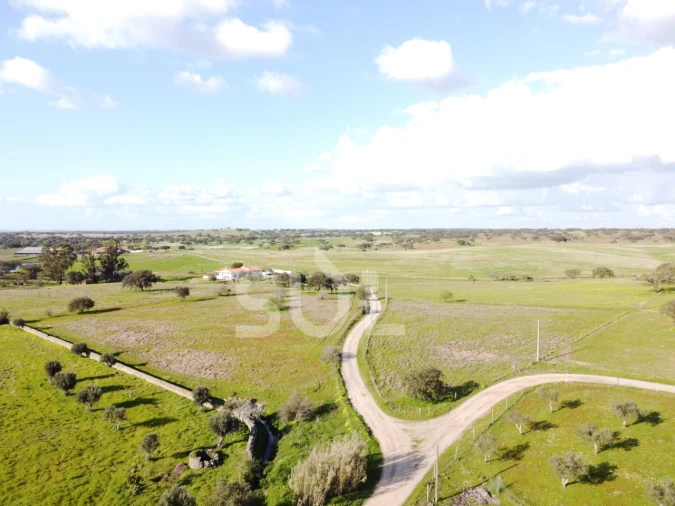 Terreno para Venda em Ourique Foto 23