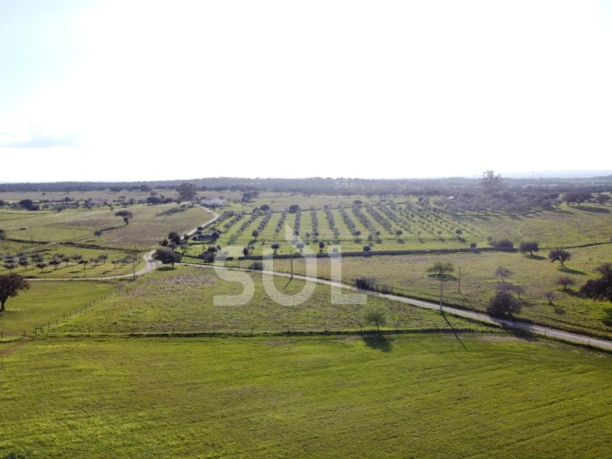Terreno para Venda em Ourique Foto 26
