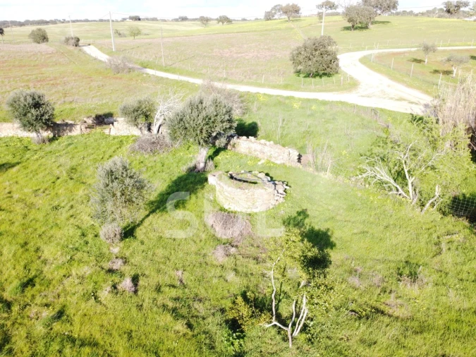Terreno para Venda em Ourique Foto 32