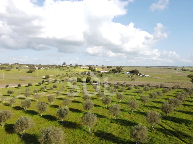 Terreno para Venda em Ourique Foto 33