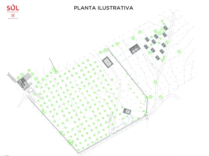 Terreno para Venda em Ourique Foto 35