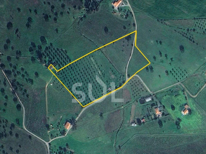 Terreno para Venda em Ourique Foto 36