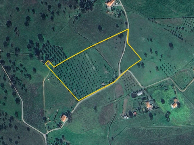 Terreno para Venda em Ourique Planta 2