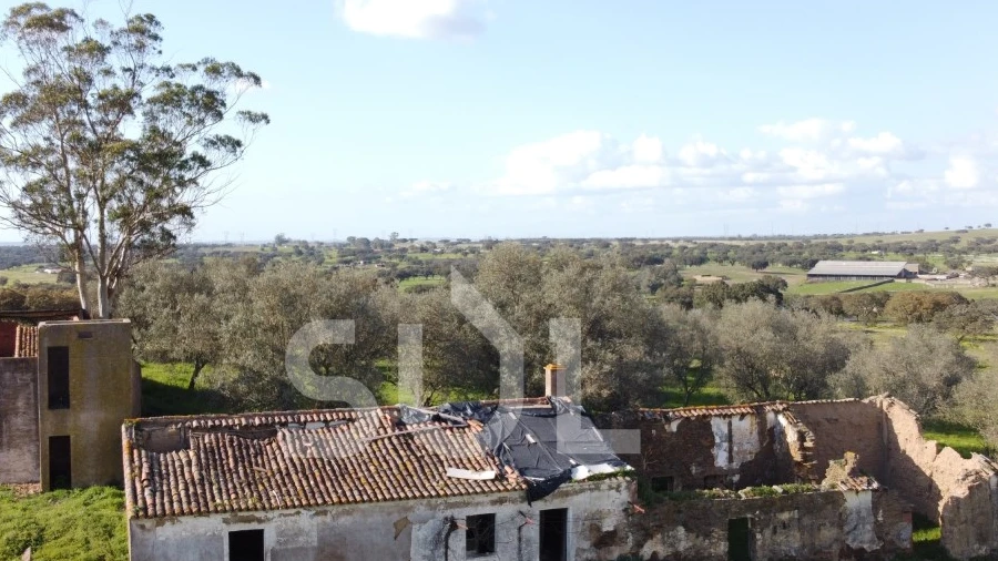 Terreno para Venda em Ourique