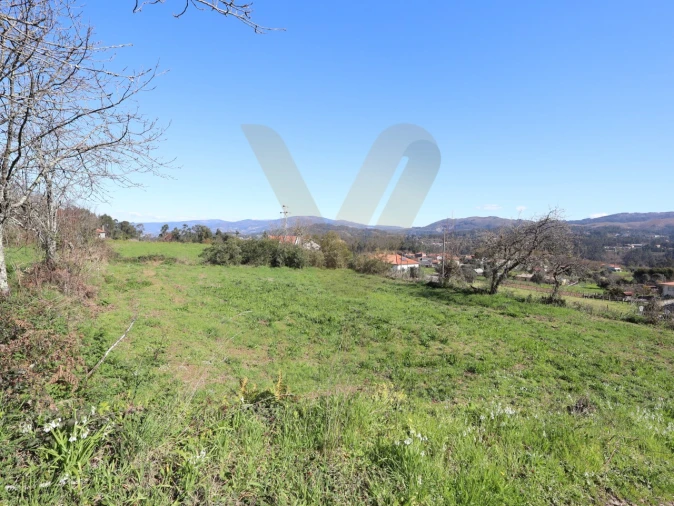 Terreno para Venda em Rebordões (Santa Maria) Foto 9