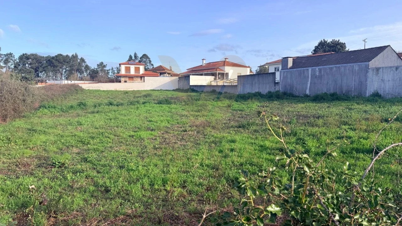 Terreno para Venda em Alvarães Foto 2