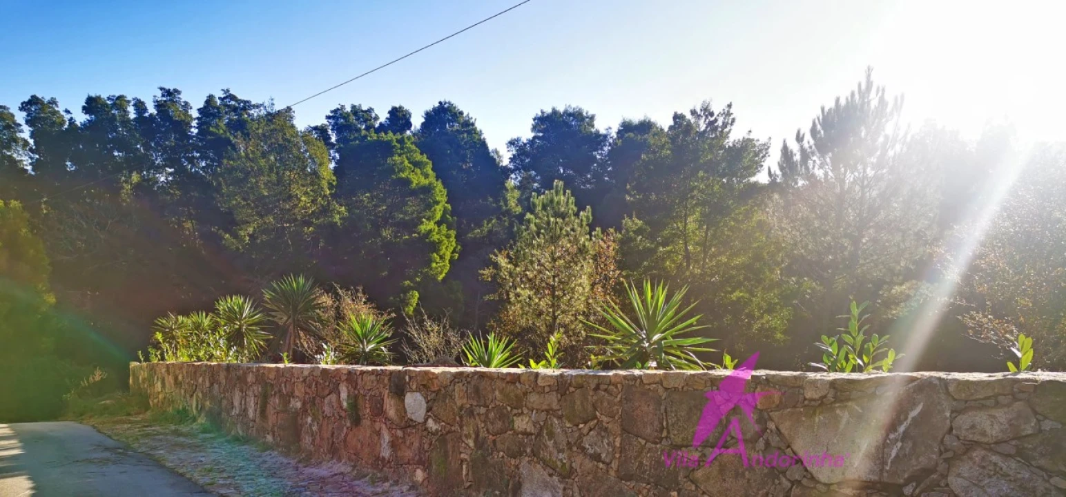 Terreno para Venda em Ancora Foto 11