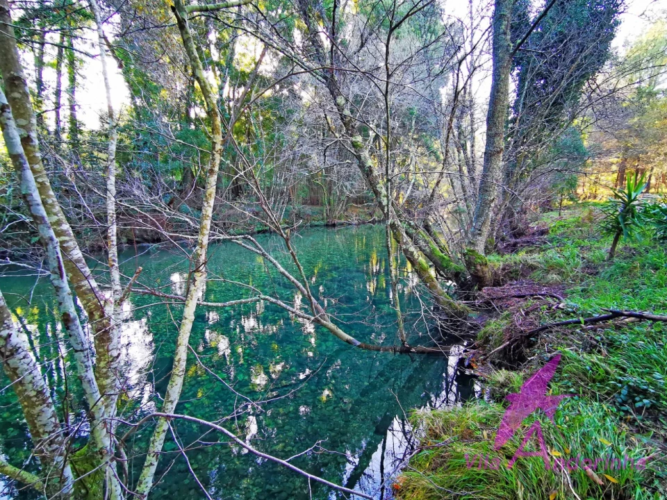 Terreno para Venda em Ancora Foto 27