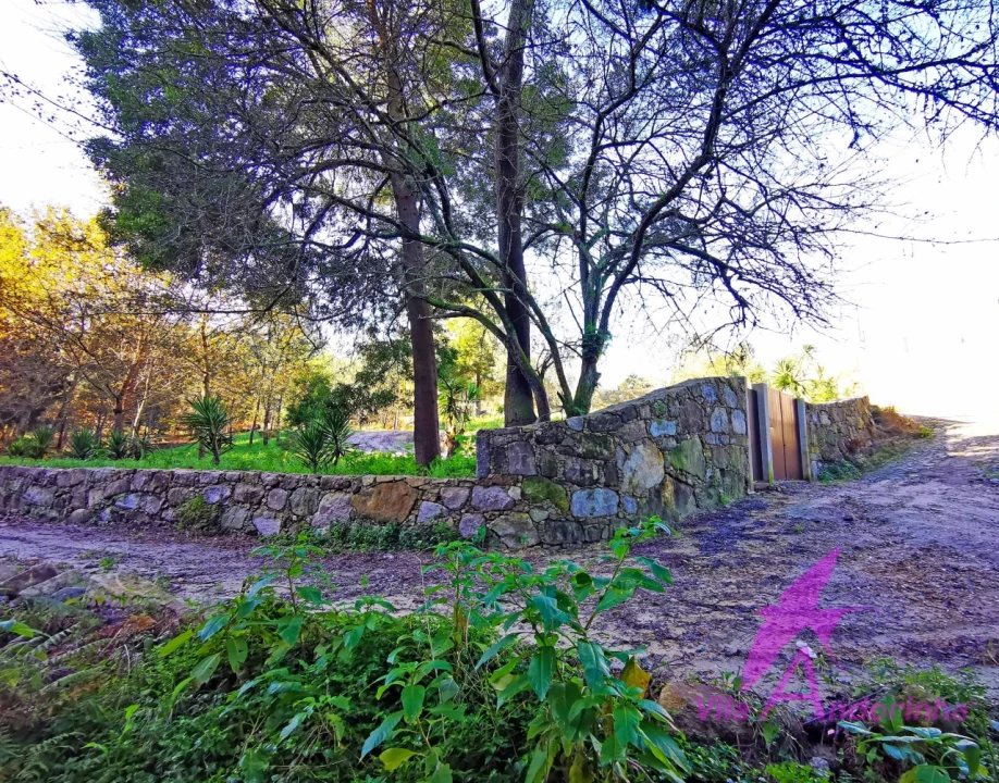 Terreno para Venda em Ancora Foto 13