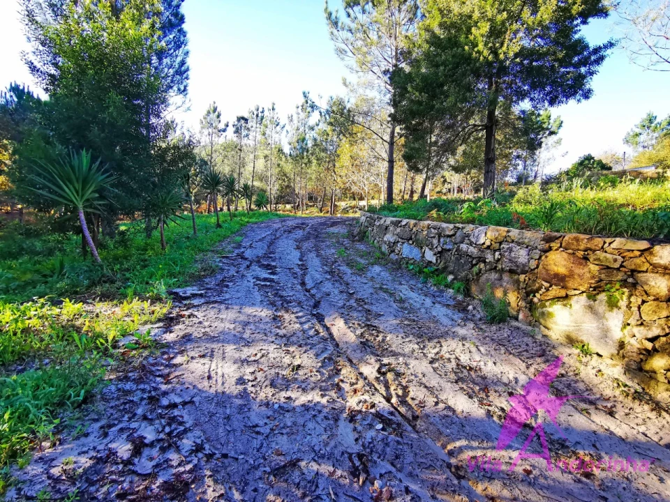 Terreno para Venda em Ancora Foto 15