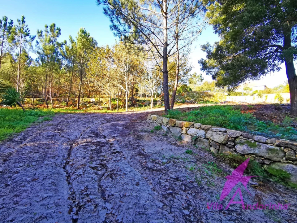 Terreno para Venda em Ancora Foto 17