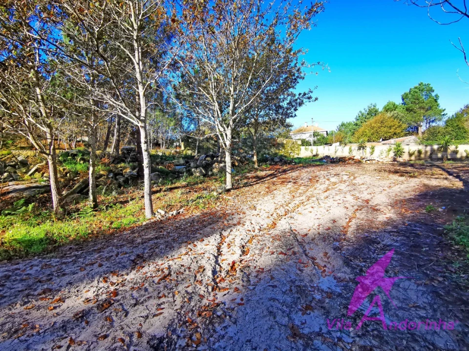 Terreno para Venda em Ancora Foto 5