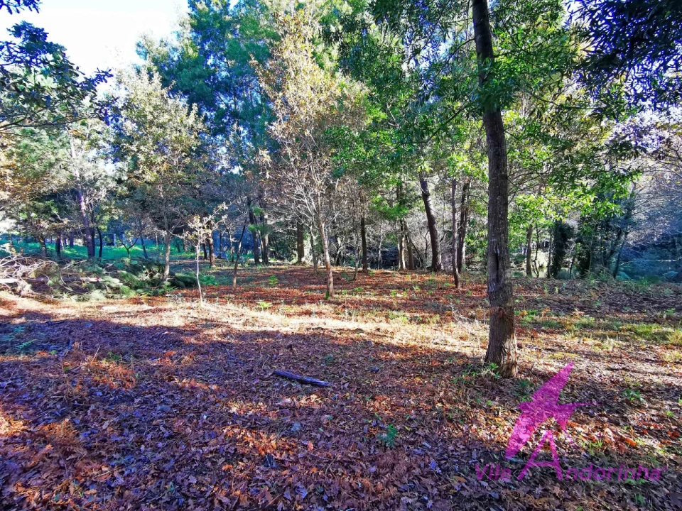 Terreno para Venda em Ancora Foto 22